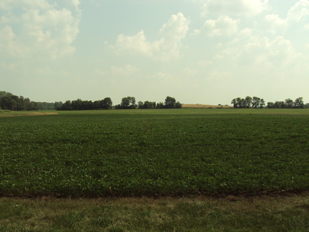 Property photo 3 - 160 Acres Offered in 6 Tracts